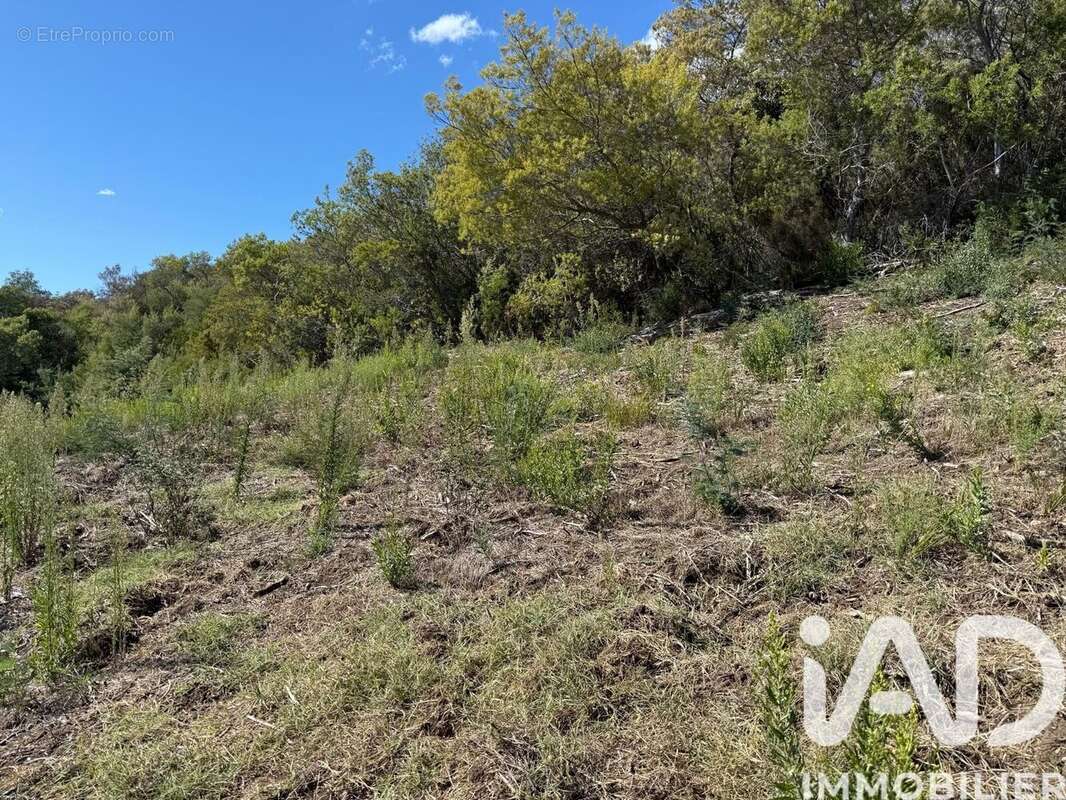 Photo 2 - Terrain à MANDELIEU-LA-NAPOULE