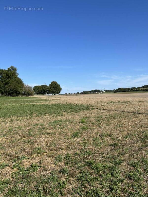 Terrain à BETHON