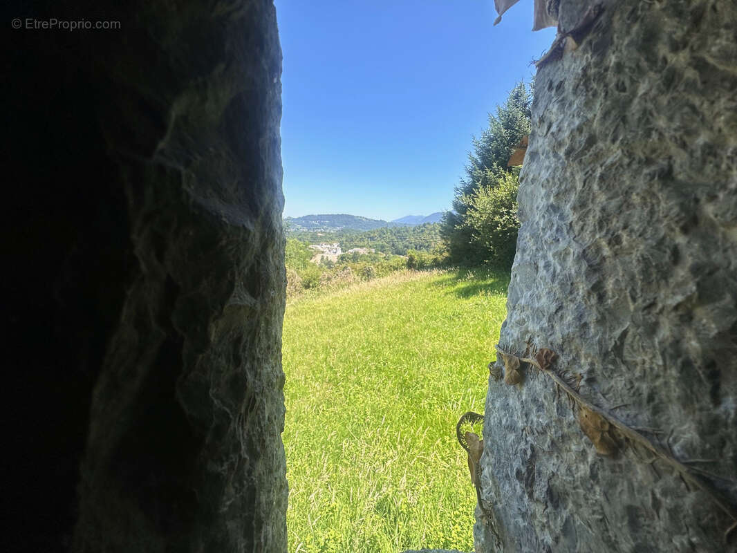 Maison sur Arudy, bien atypique avec de nombreuses possibilités. Isolé de tout, cadre de vie magnifique. - photo 3