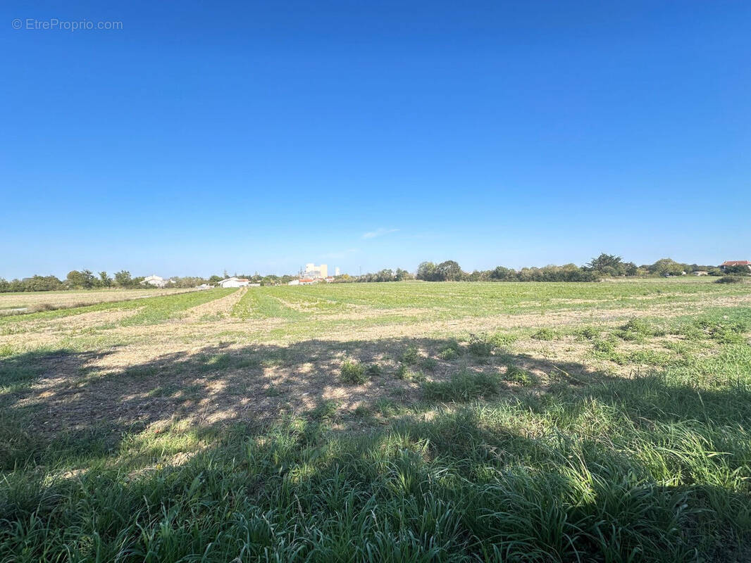 Photo 1 - Terrain à SAINT-PIERRE-LE-VIEUX