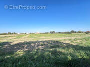 Photo 1 - Terrain à SAINT-PIERRE-LE-VIEUX