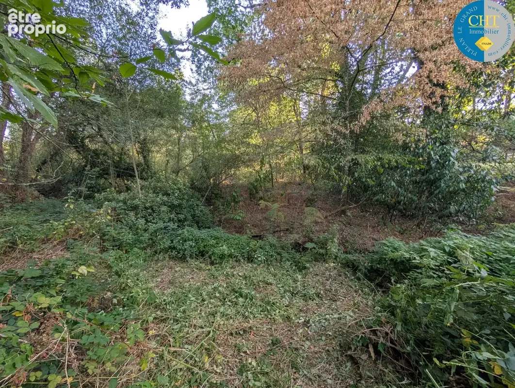 Magnifique terrain boisé de 9 420 m2 à guer - bellevue (56380) avec cht immobilier - photo 3