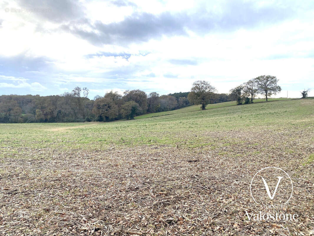 Terrain à CASTELNAU-TURSAN