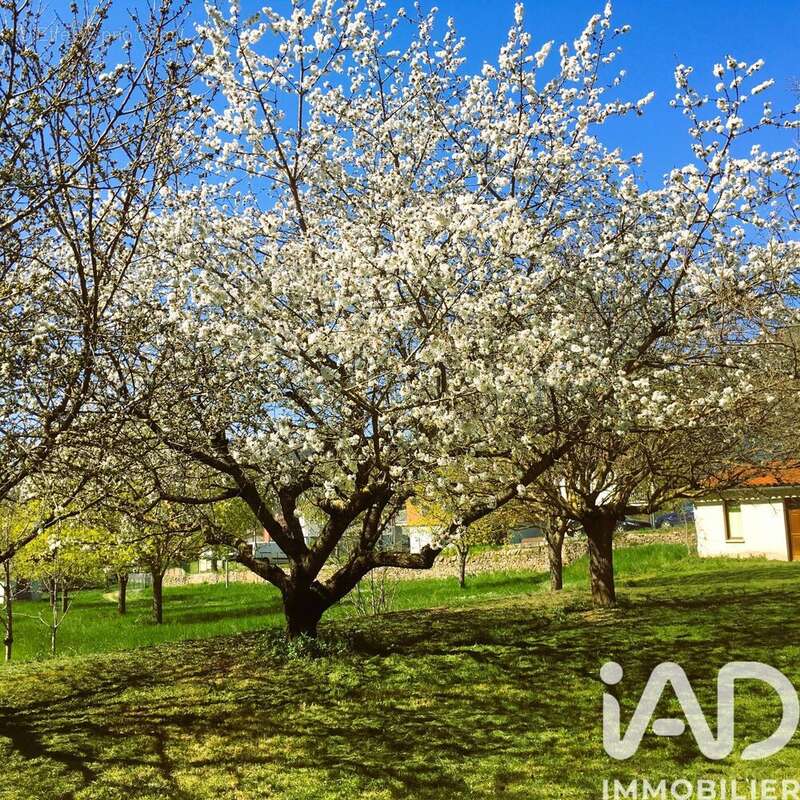 Photo 3 - Terrain à SAINT-ROME-DE-TARN