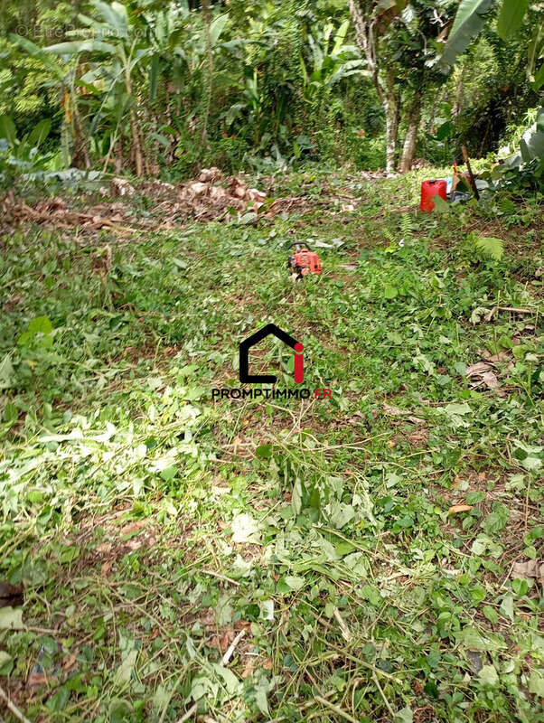 Terrain à GROS-MORNE