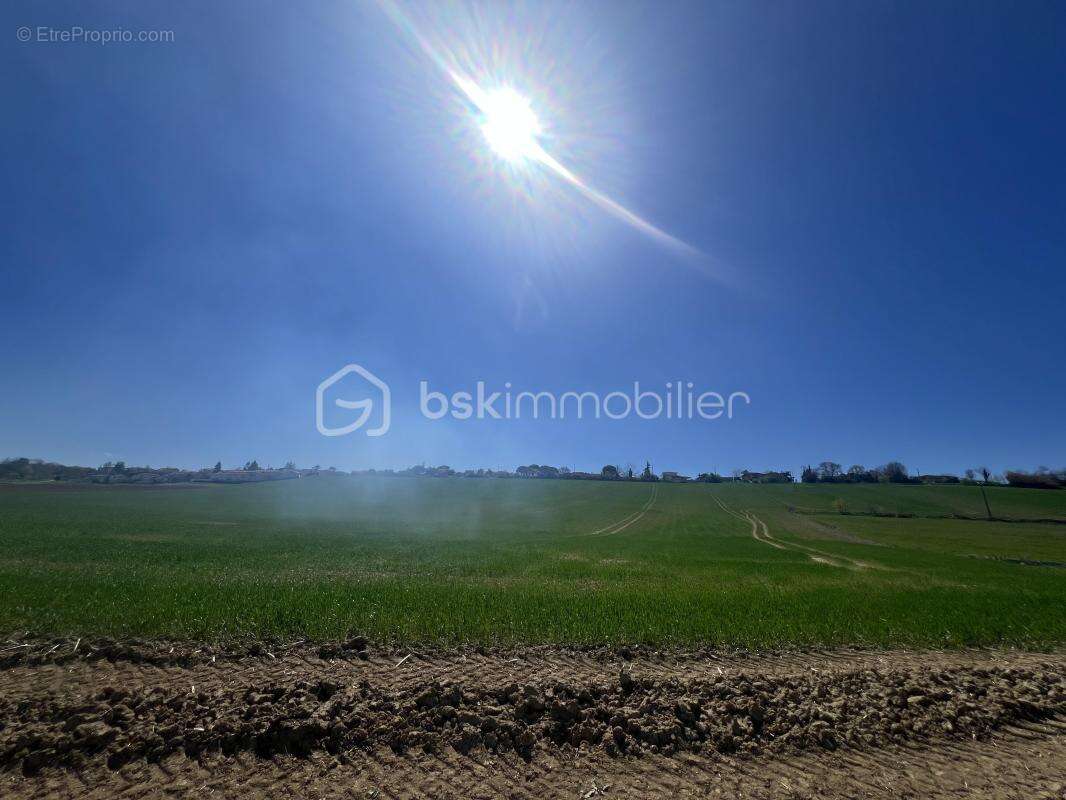Terrain à LAUZERVILLE