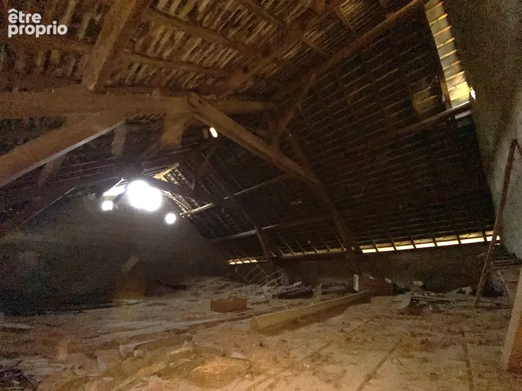 ARISTIMMO - Ferme à Monein - photo 16
