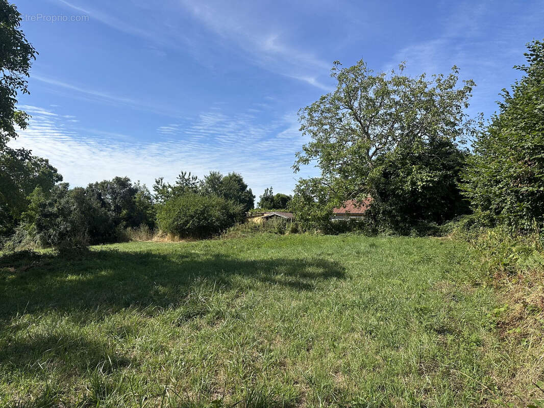 Terrain à bâtir ! - photo 3
