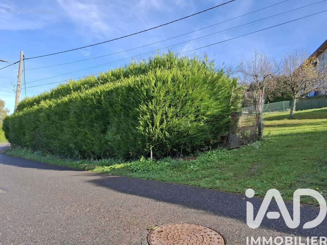 Photo 8 - Terrain à SAINT-PAUL-EN-CHABLAIS