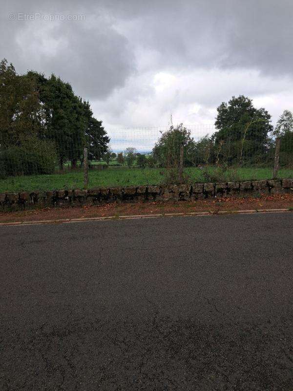 Terrain à DROITURIER
