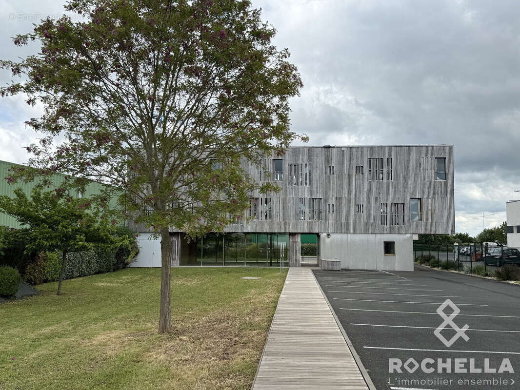 Commerce à SAINT-MEDARD-D'AUNIS