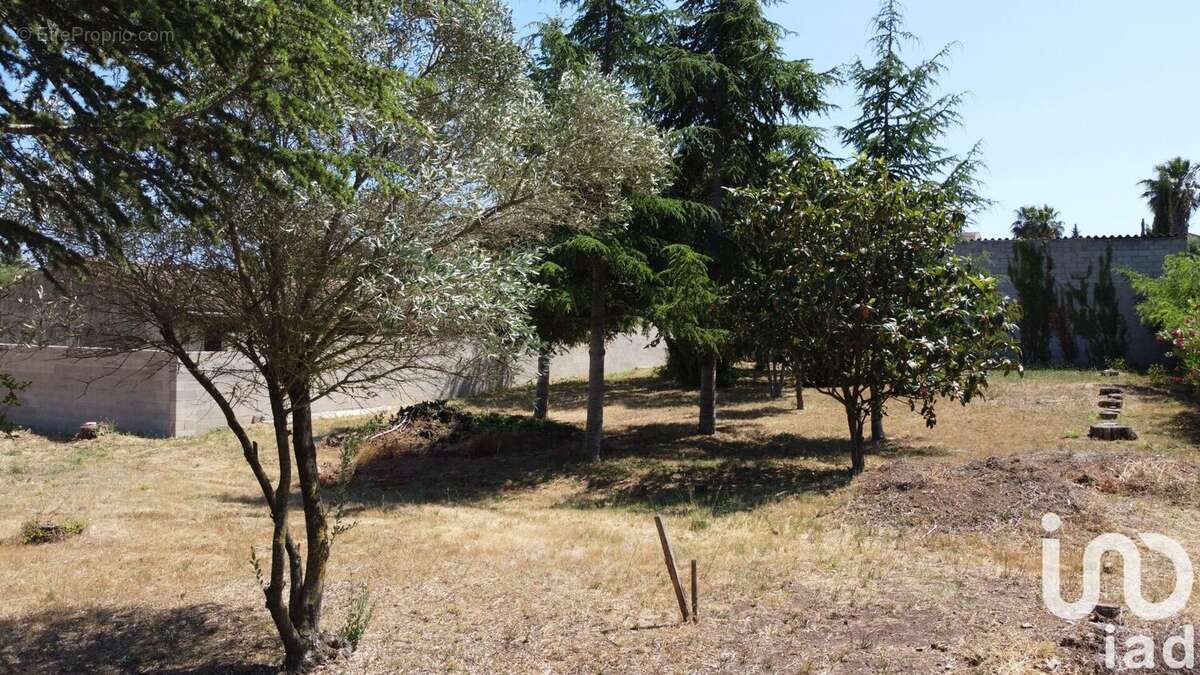 Photo 3 - Terrain à SALLES-D&#039;AUDE