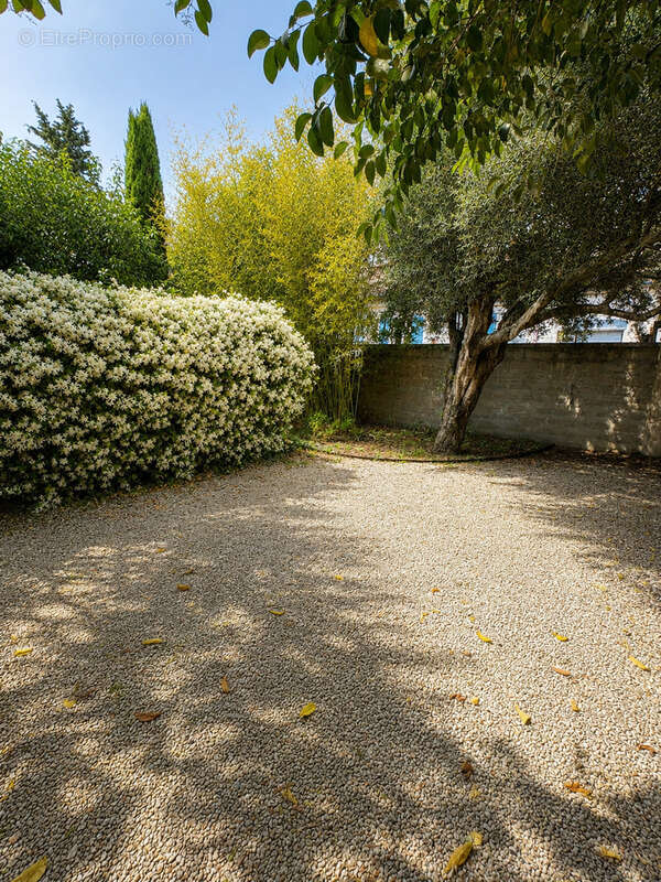Maison à AVIGNON