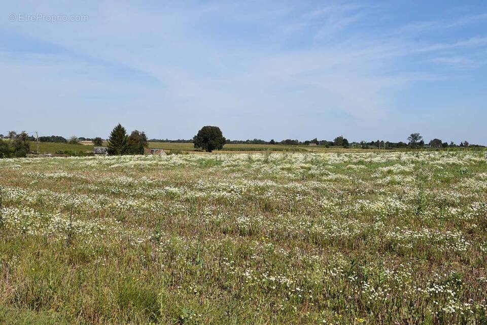 Terrain à LE TRAIT