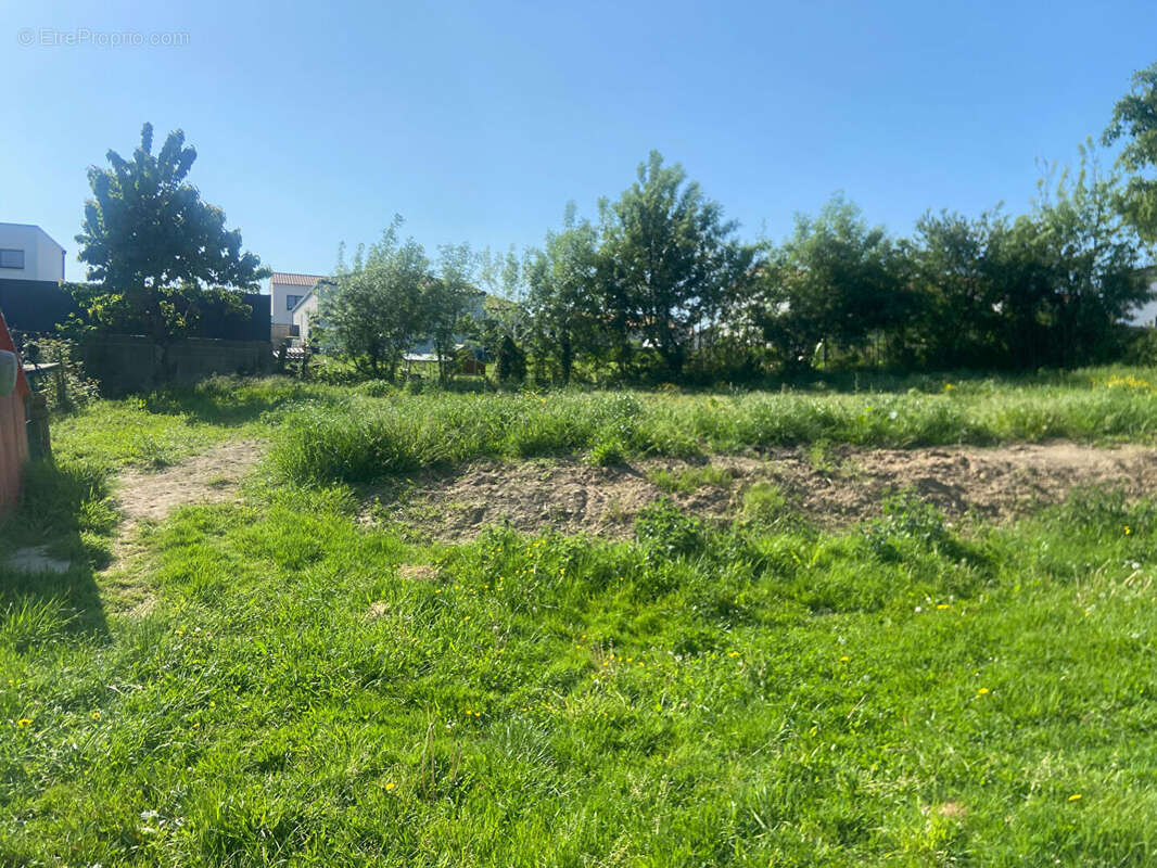 Terrain à LA ROMAGNE