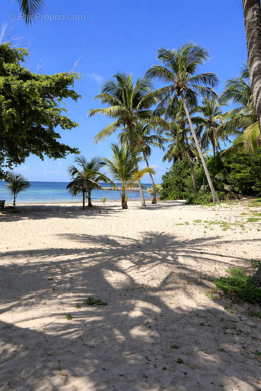 Appartement à SAINT-FRANCOIS