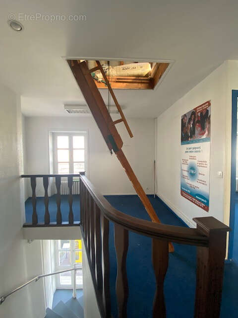 Commerce à MAISONS-LAFFITTE