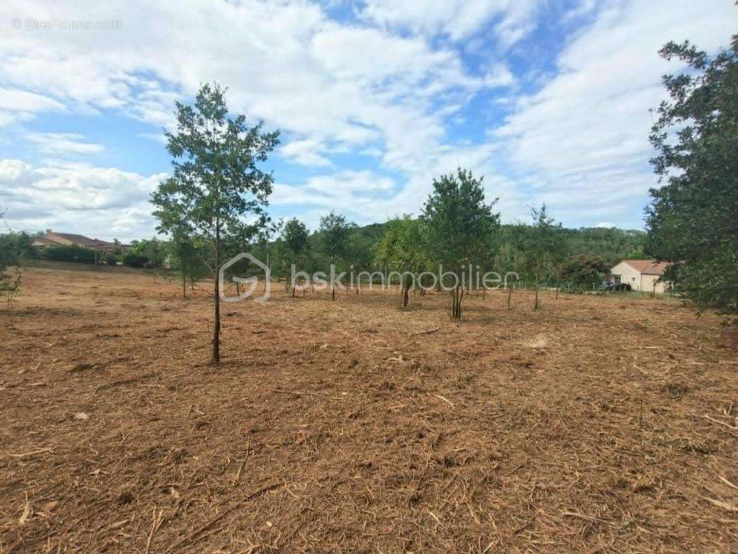 Très beau terrain pratiquement plat de 5 771 m2 constructible avec CU en cours de validité, situé en Périgord Noir à Larzac 2417 - photo 3