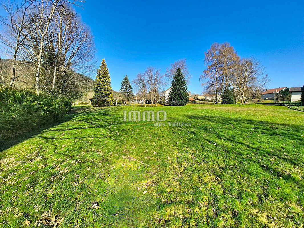 Terrain à XONRUPT-LONGEMER