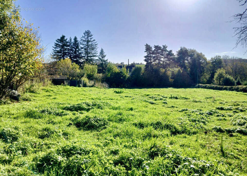 Terrain à SANSAC-DE-MARMIESSE