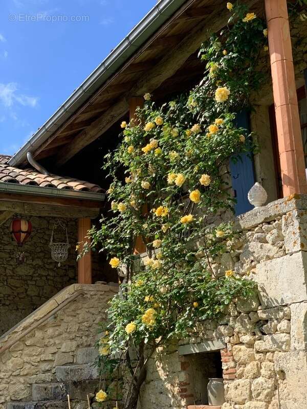 Maison à PENNE-D'AGENAIS