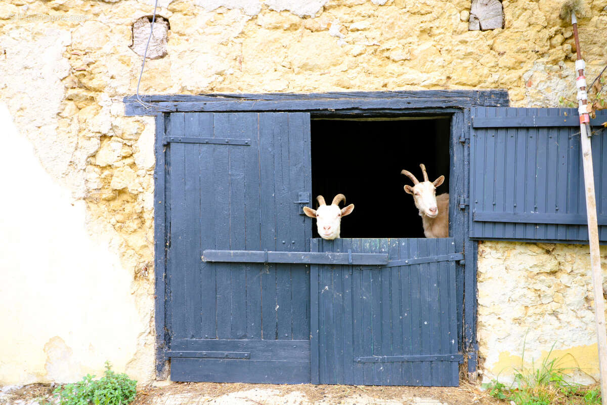 Maison à MASSEUBE