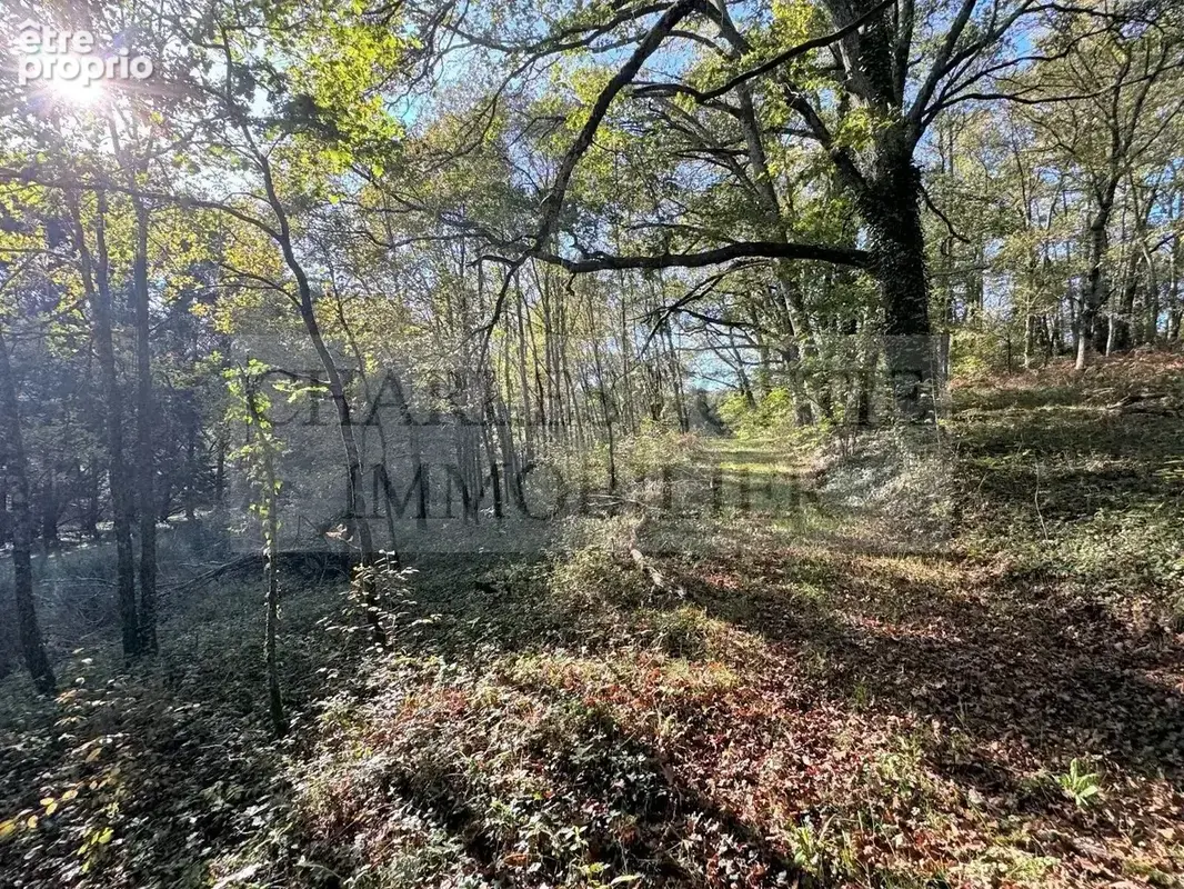 Charmante maison en pierre, garage et dépendances sur 1.5 ha au calme et proche d'un village en Bouriane - photo 6