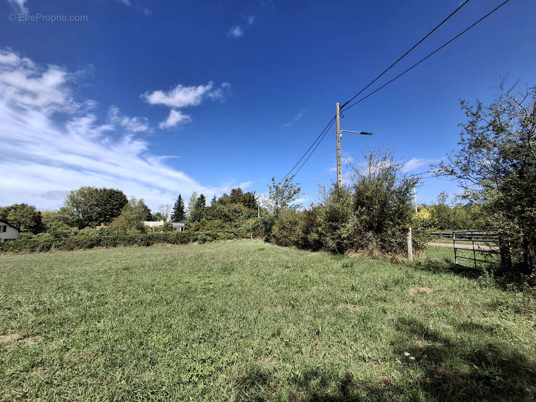 Terrain à LA CHARITE-SUR-LOIRE