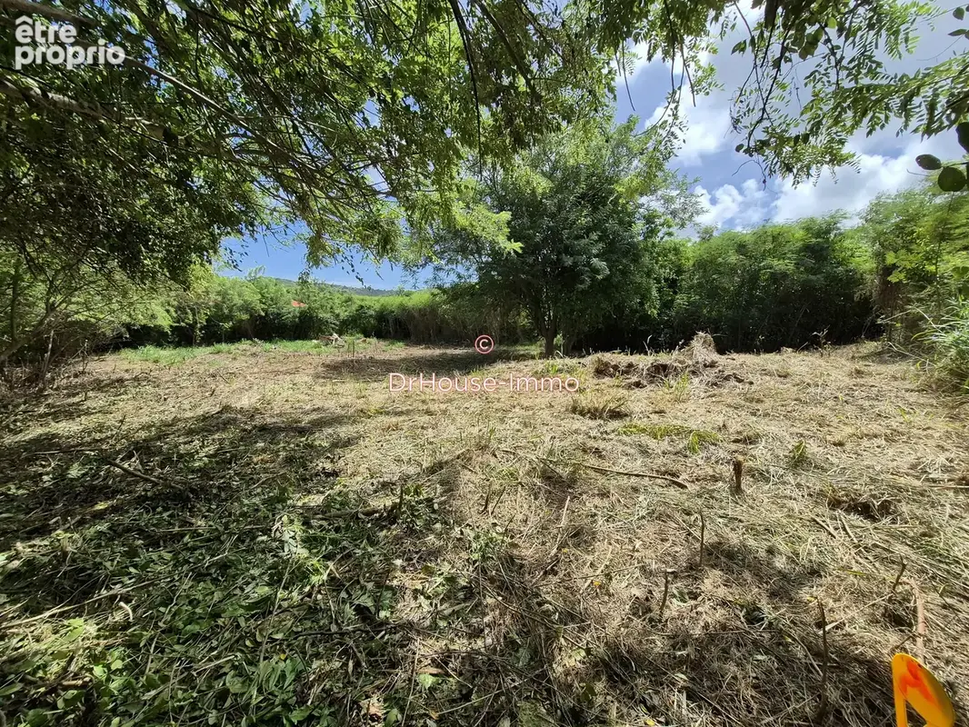 Terrain 1 299 m² à vendre à Le Vauclin (97280) - photo 8