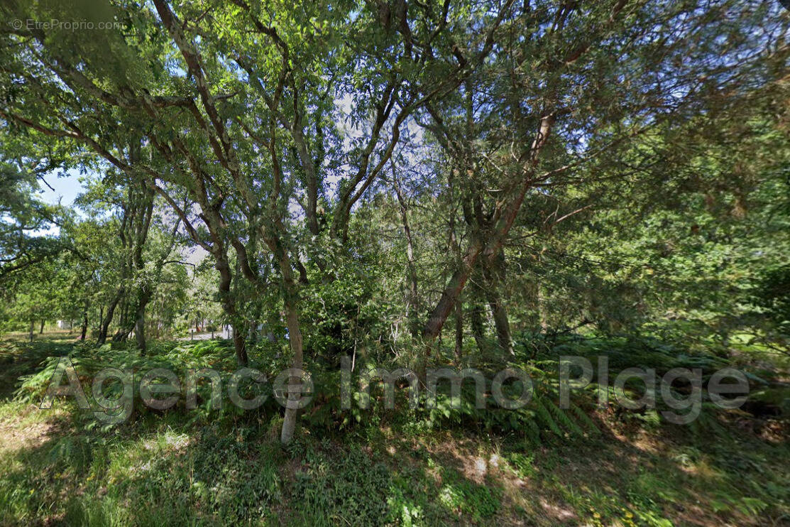 Terrain à GRAYAN-ET-L&#039;HOPITAL