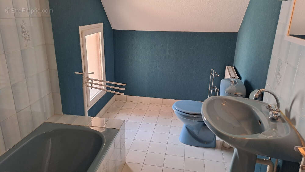 Maison à AILLANT-SUR-THOLON