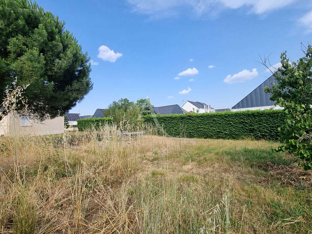 Terrain à CHAMPTOCE-SUR-LOIRE