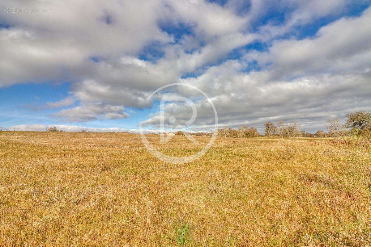 Terrain à VERDUN-SUR-GARONNE