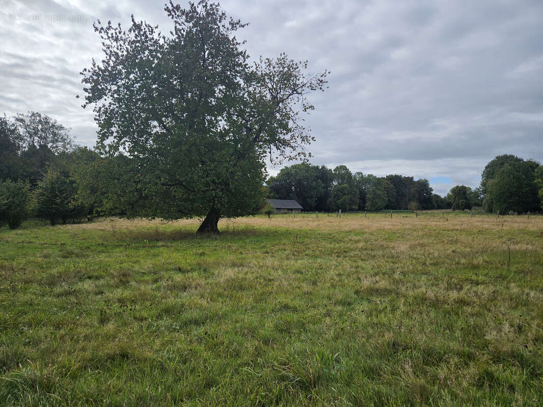Maison à CORMEILLES