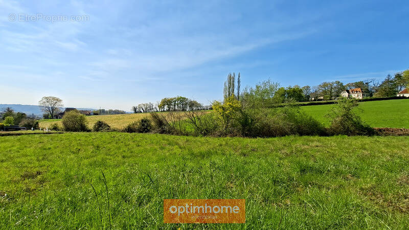 Terrain à SAUVETERRE-DE-BEARN
