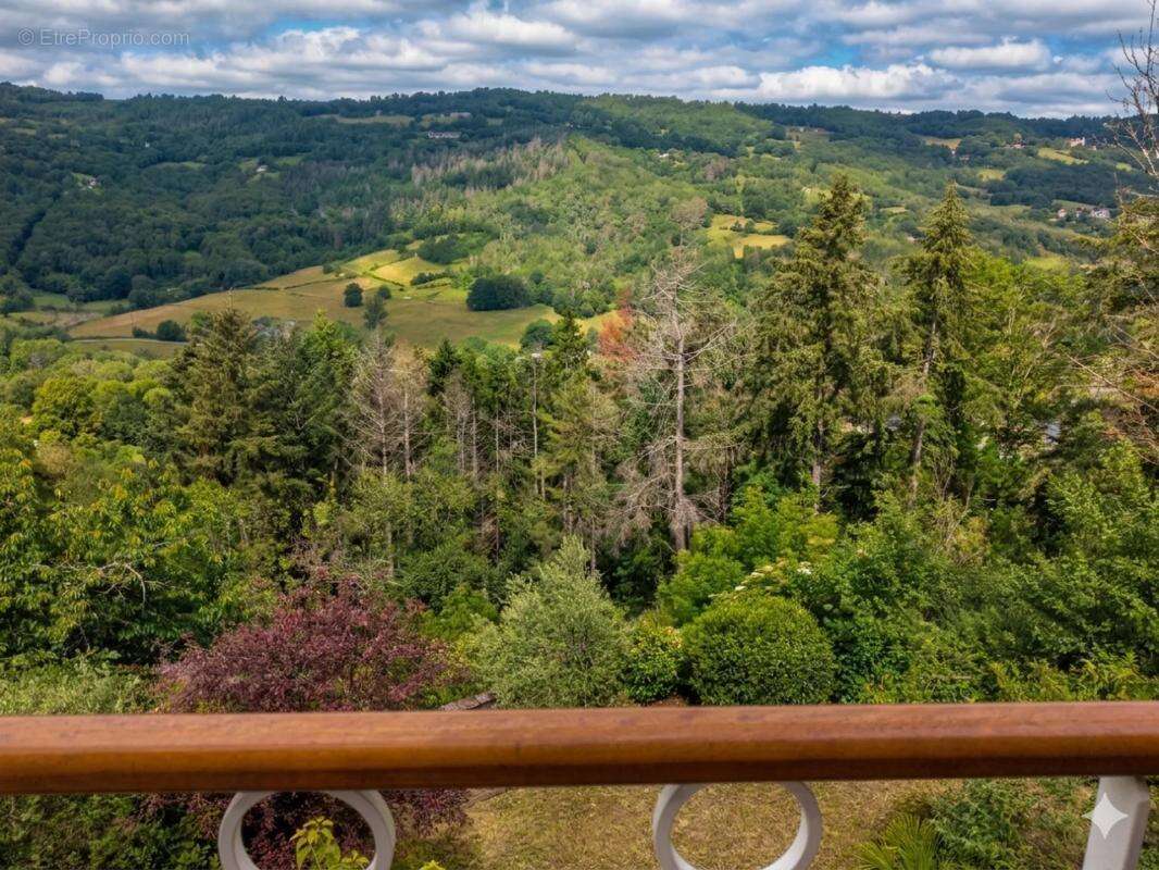 Maison en pierres de 140 m² avec vue panoramique sur Najac - photo 14