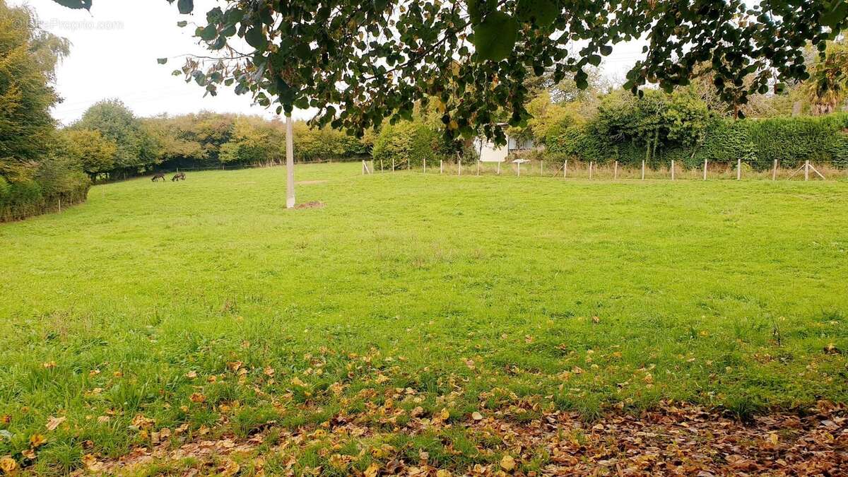 Maison à LA CROISILLE-SUR-BRIANCE