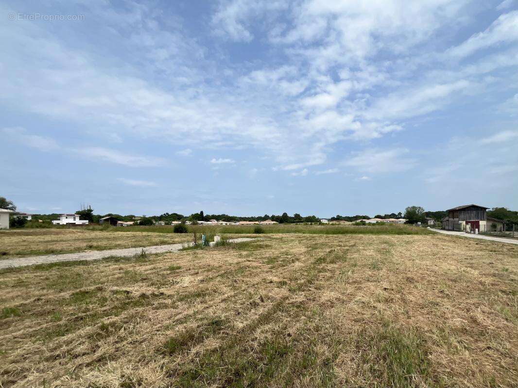 Terrain à MARTILLAC