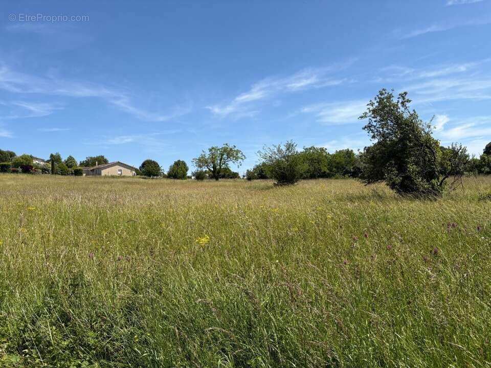 Terrain 786 m² à Montpitol  - photo 3