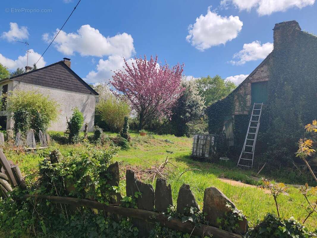 Photo 3 - Maison à LANGON