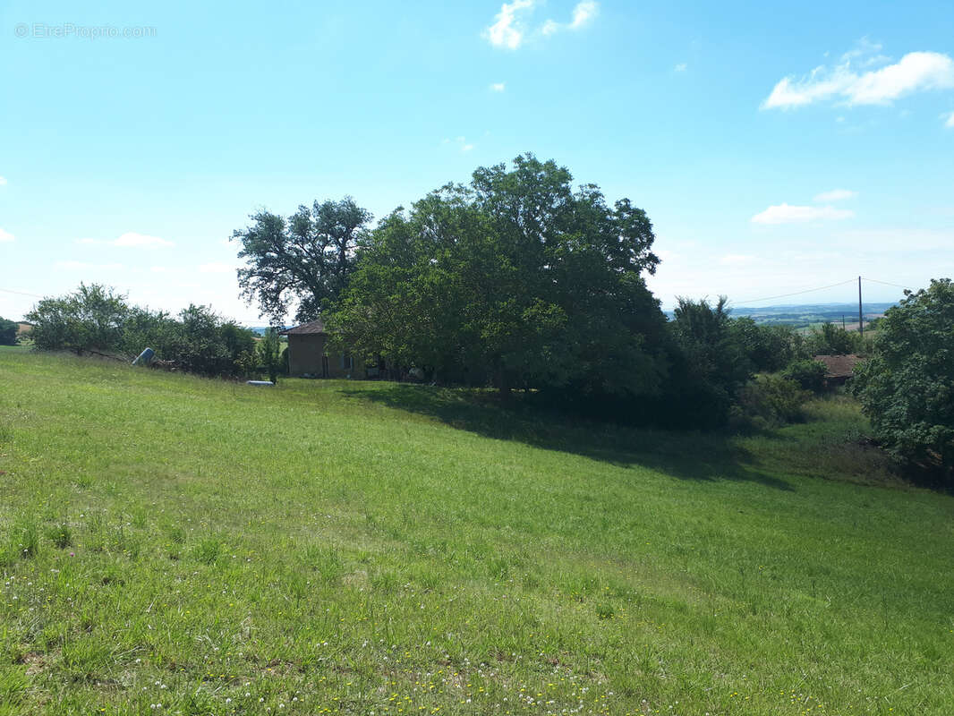 Maison à SAUVETERRE