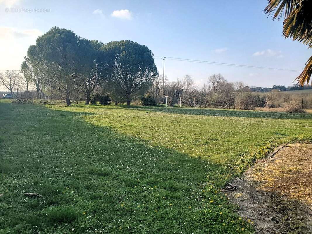 Maison à CHAMPNIERS