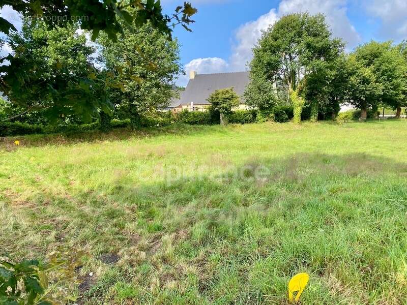 Terrain à LA TRINITE-SURZUR