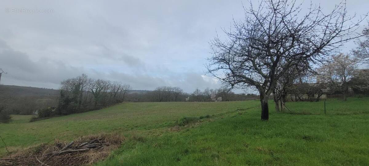 Photo 1 - Terrain à CONDEZAYGUES