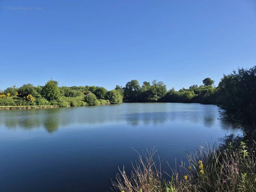 Terrain à LA PELLERINE