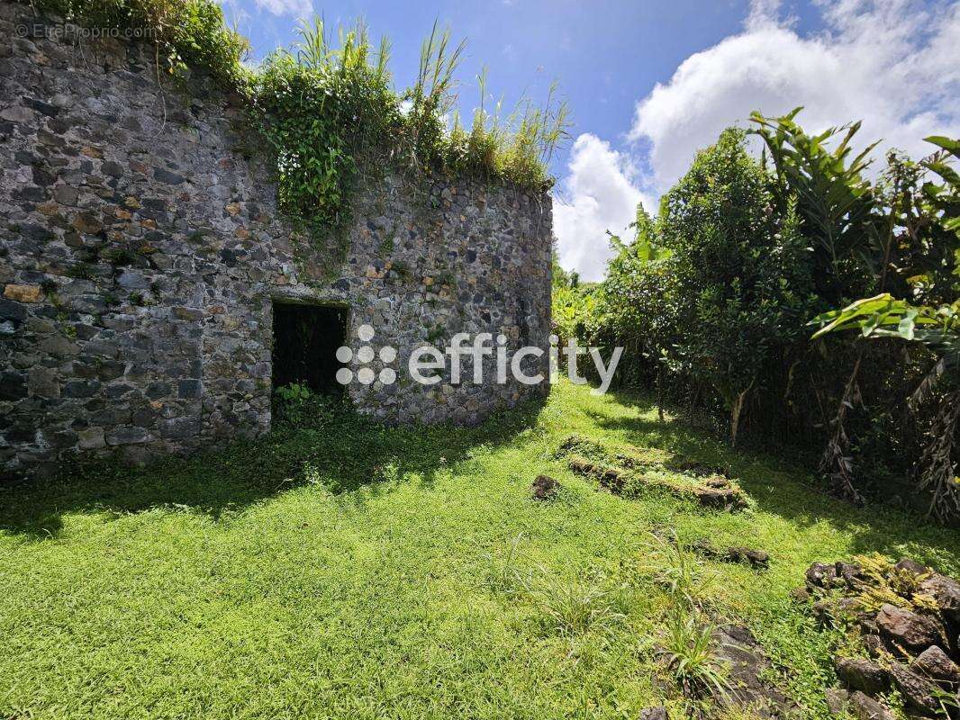 Maison 173 m² à Saint-Claude  - photo 8