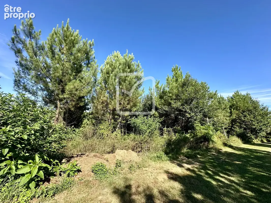Terrain à MARQUAY