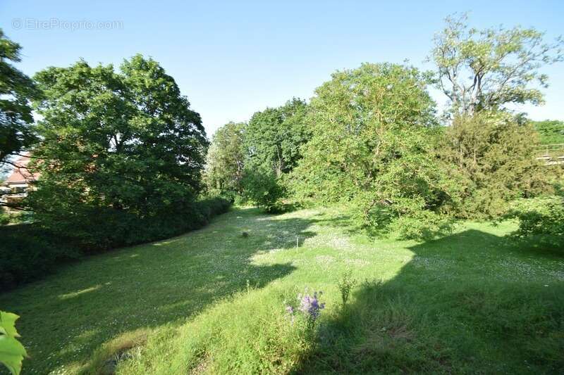 Maison bourgeoise des années 30 - Jardin de plus de 20 ares - photo 4