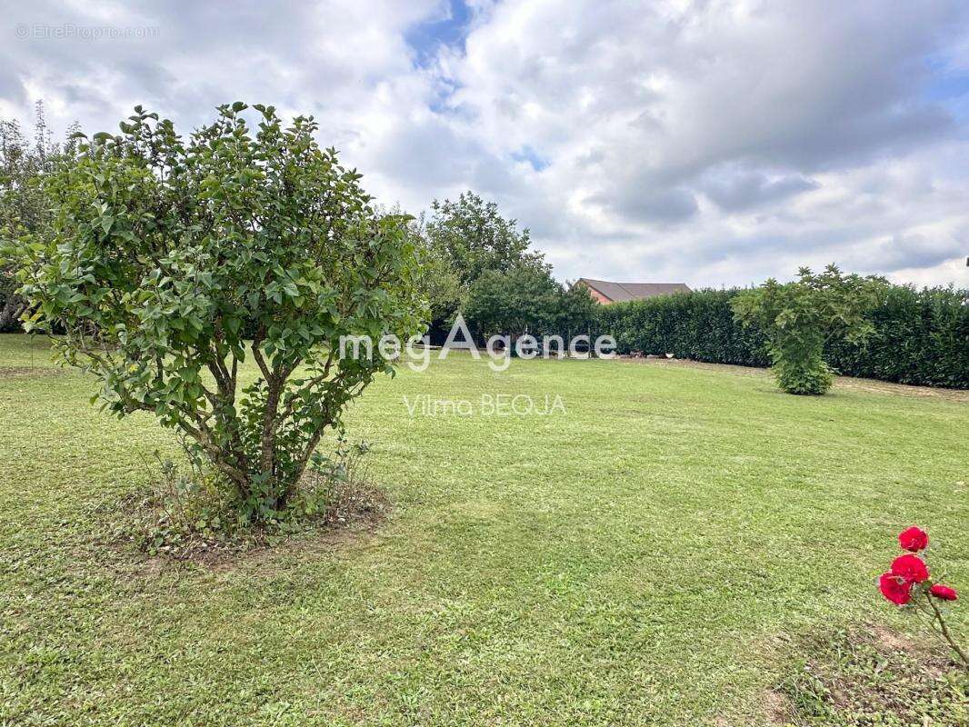 Maison à COURTOIS-SUR-YONNE