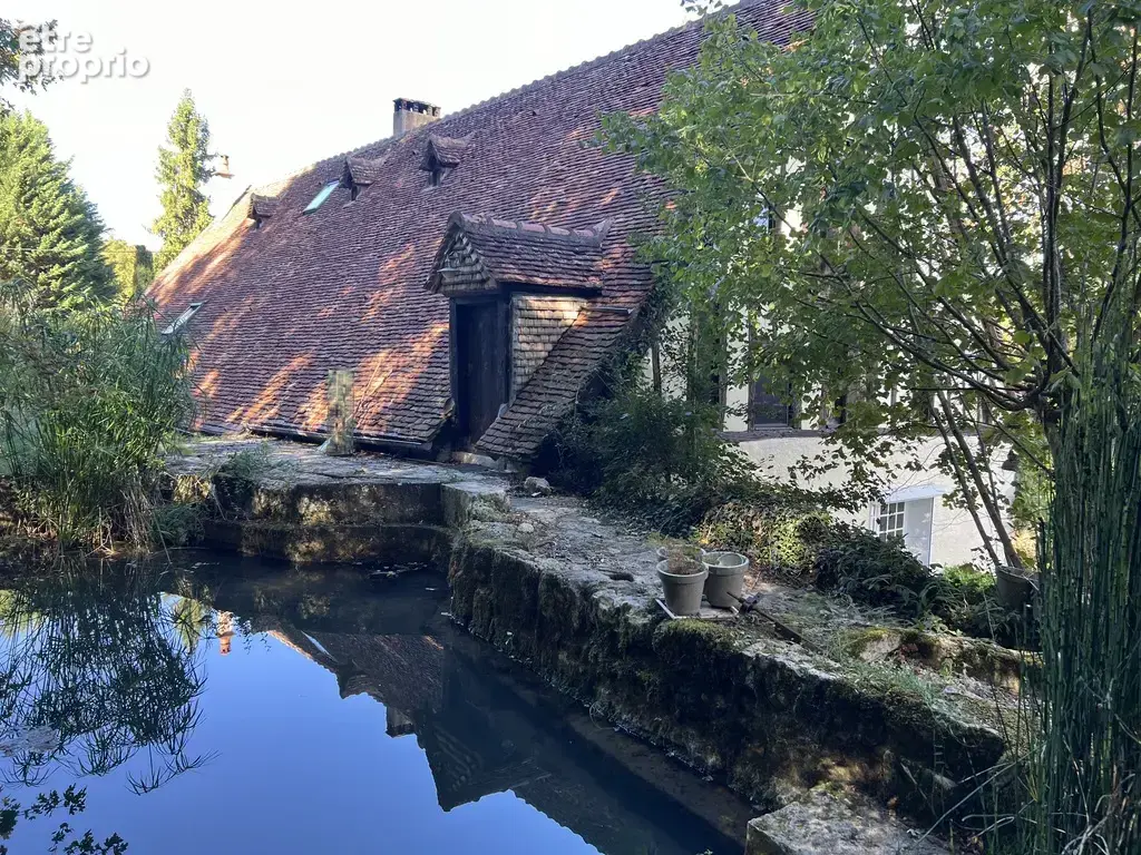 Propriété 9730 m2 : ancien moulin restauré avec garage, parc, sources, rivière - photo 10